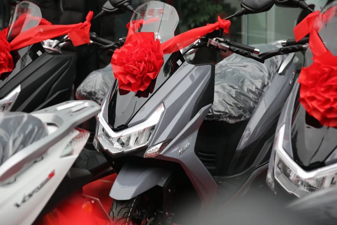 1606308154178066308.jpg 15.jpg