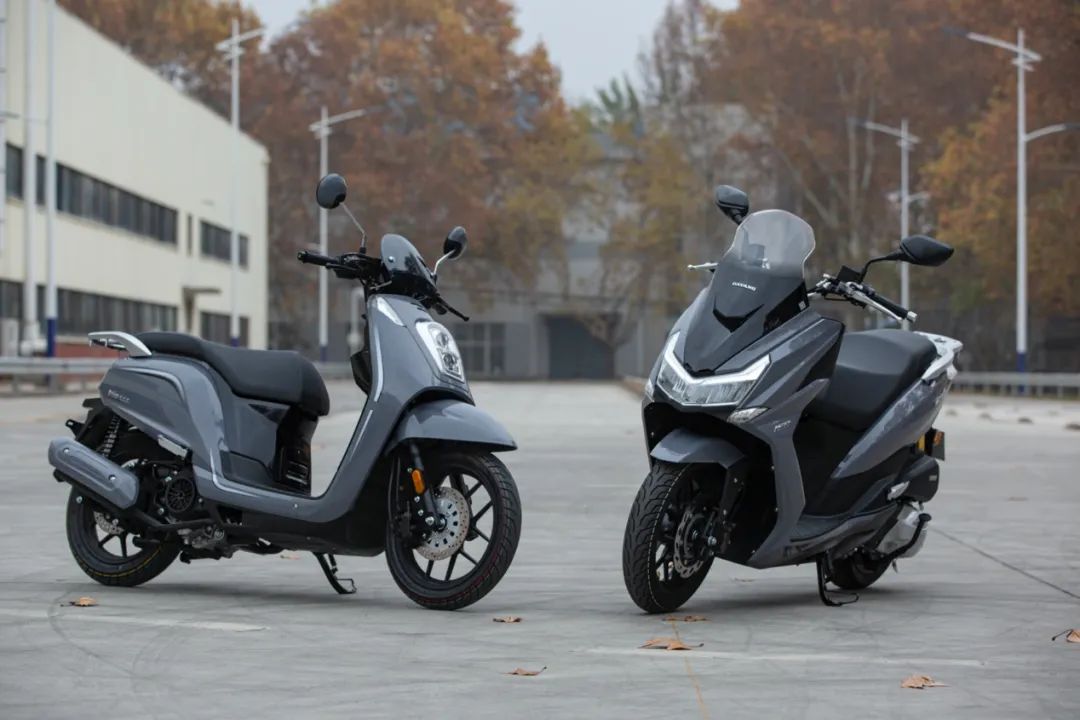 1607671574428097660.jpg 13.jpg